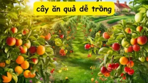 Top 10 cây ăn quả dễ trồng