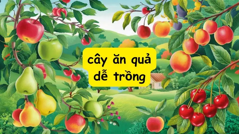 Top 10 cây ăn quả dễ trồng